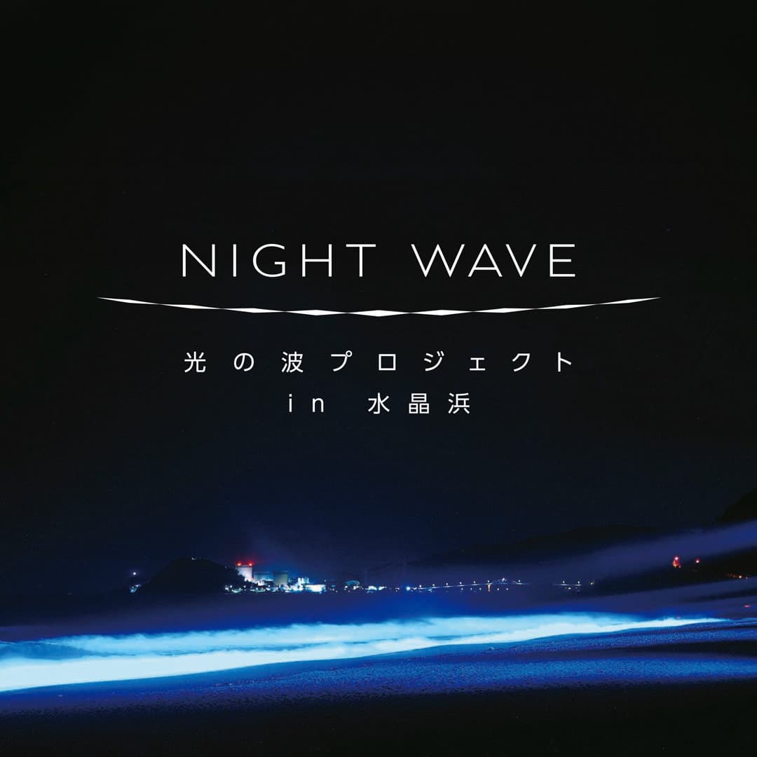 NIGHT WAVE 光の波プロジェクト in 水晶浜